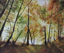 termeszet-uj-07