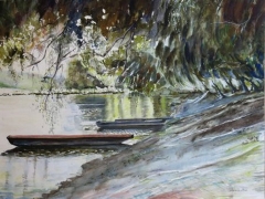 termeszet-uj-13